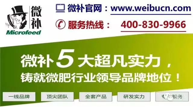 余教授奧地利鄉(xiāng)村行：萬科為什么說把奧地利小鎮(zhèn)搬回來？