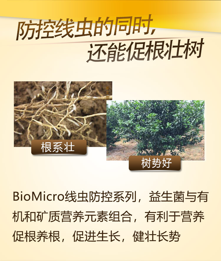 22BioMicro線蟲(chóng)防控系列【手機(jī)版】_07.jpg